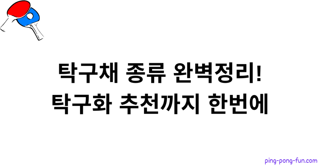 탁구채 종류 완벽정리! 탁구화 추천까지 한번에